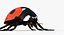 Realistic Ladybug
