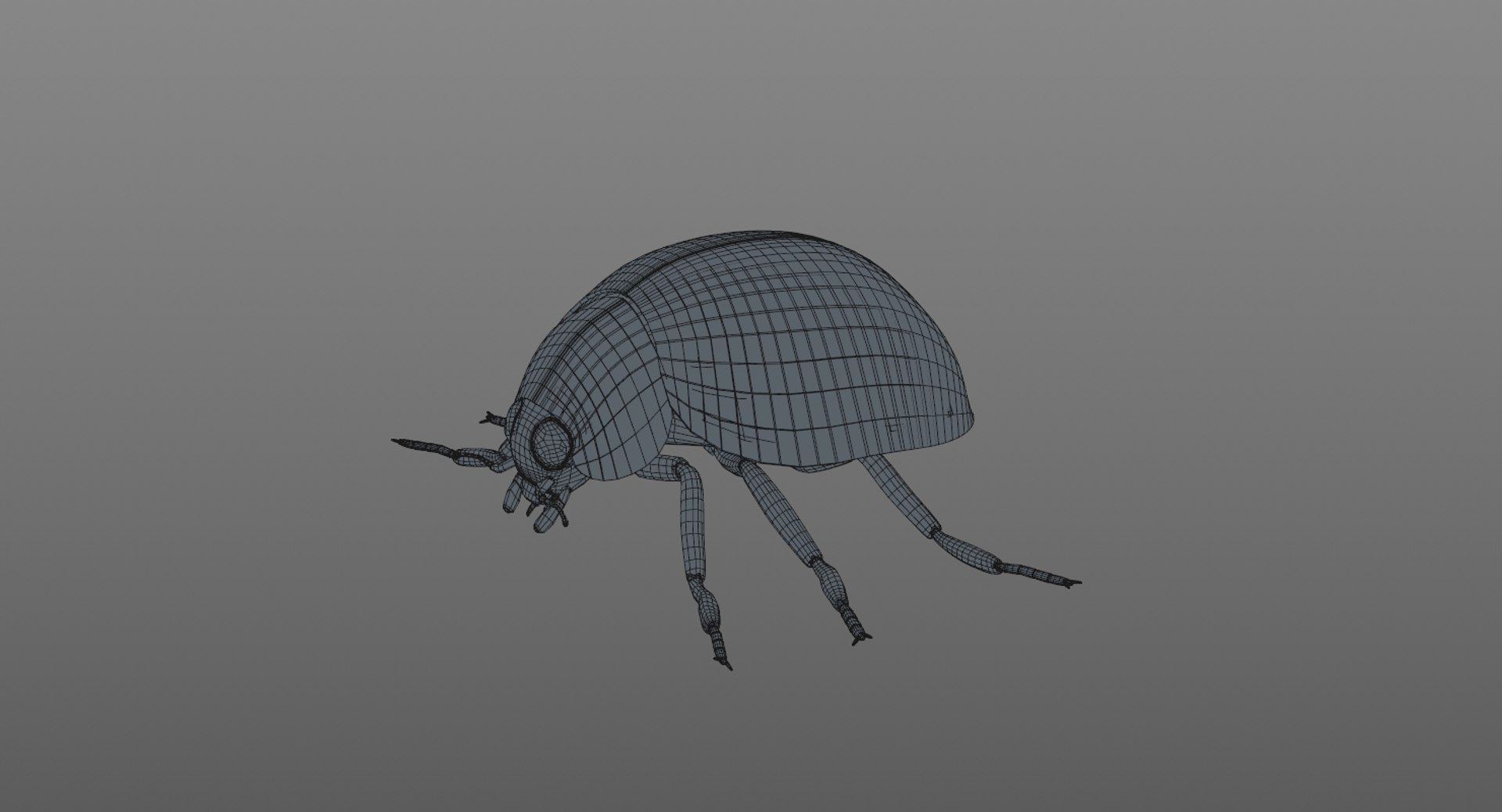 realistic ladybug 3d 3ds https://p.turbosquid.com/ts-thumb/vt/Job24K/NzQhj2SX/ladybug_wire_0004/jpg/1479906039/1920x1080/fit_q87/d8c9f25acc916223763803b47b3028dcaa7d26e5/ladybug_wire_0004.jpg