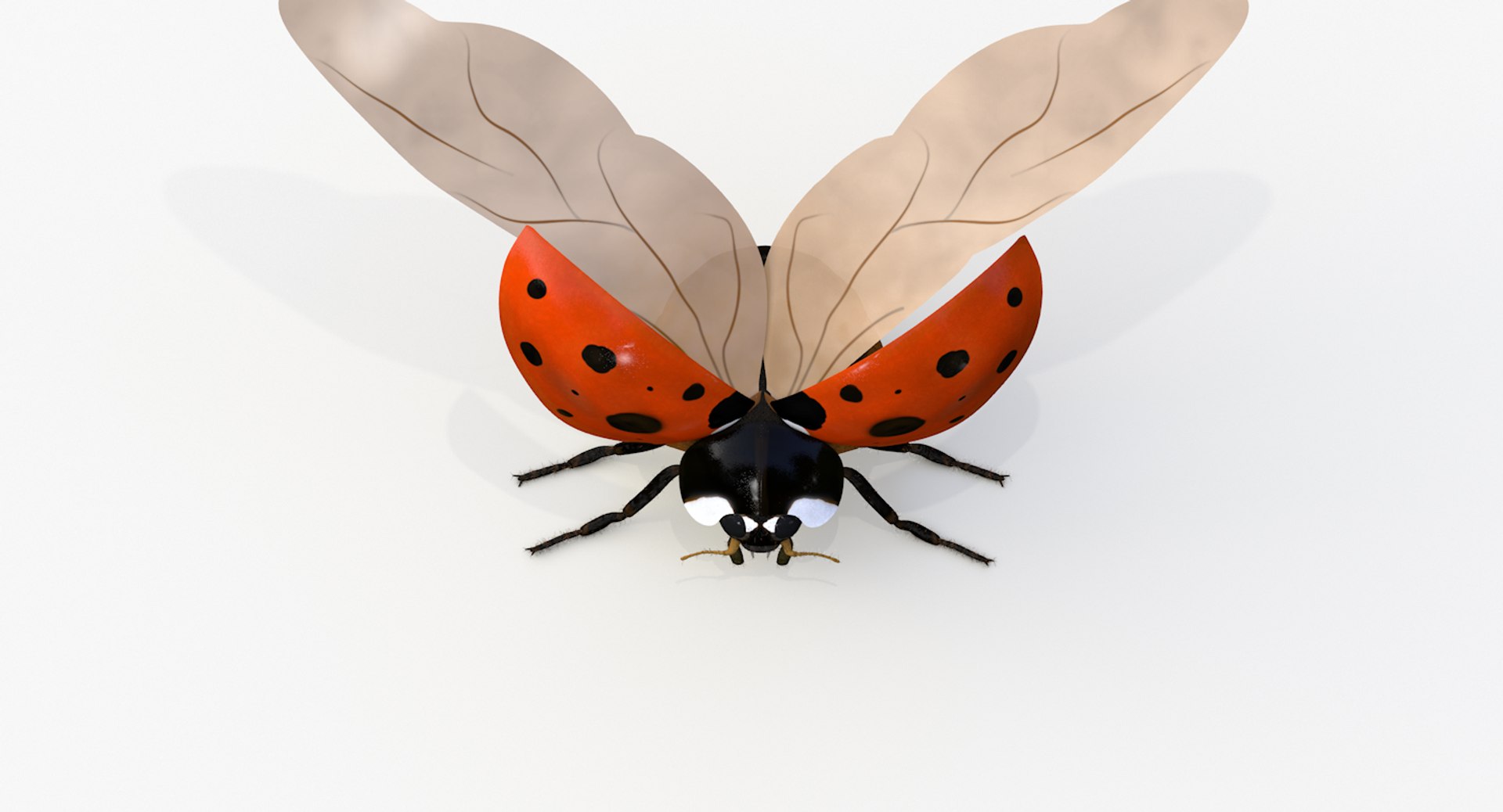 realistic ladybug 3d 3ds https://p.turbosquid.com/ts-thumb/vt/Job24K/QzbtpuyR/ladybug_wings_0002/png/1479906038/1920x1080/fit_q87/994036226de35e9b9eafd6a4b93aeac3a7cea598/ladybug_wings_0002.jpg