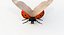 Realistic Ladybug
