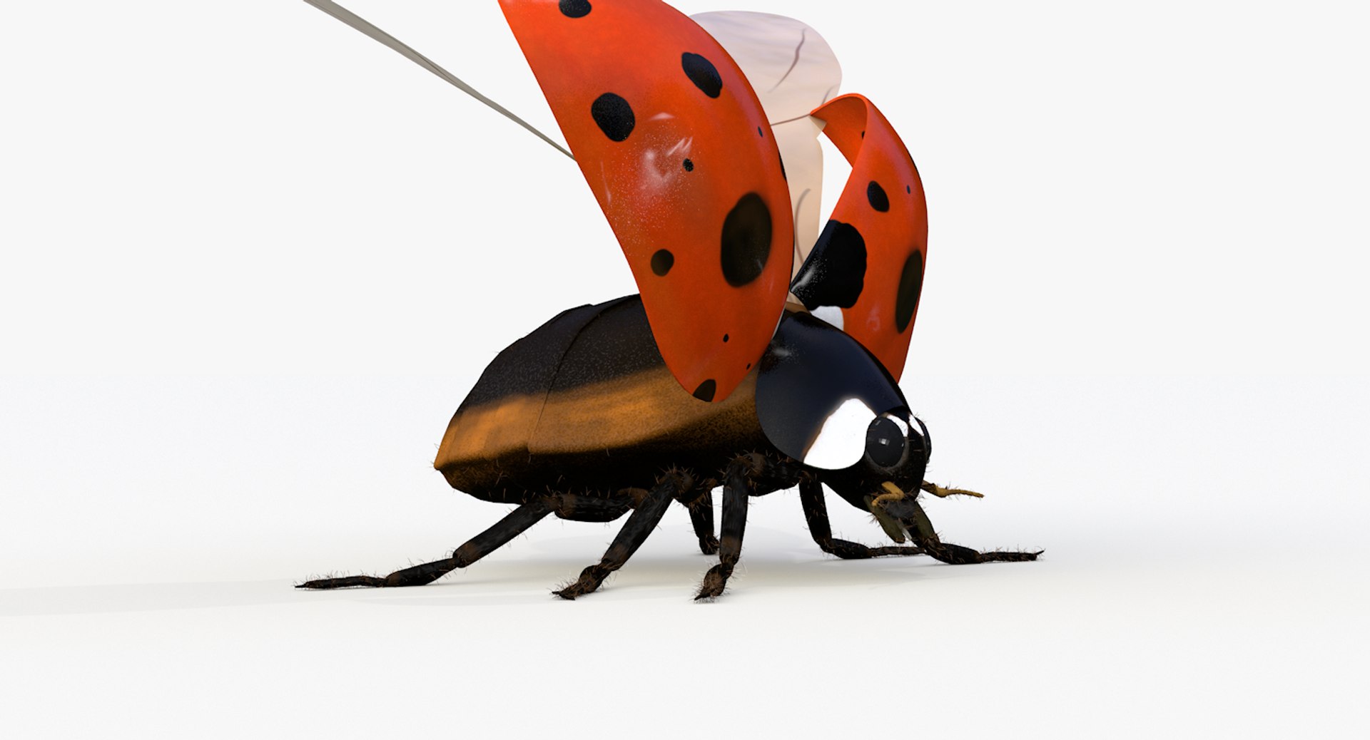 realistic ladybug 3d 3ds https://p.turbosquid.com/ts-thumb/vt/Job24K/RYBy6xwI/ladybug_wings_0001/png/1479906038/1920x1080/fit_q87/7920f106ba83d127dc9494f5e8e15f8db3190a7d/ladybug_wings_0001.jpg