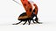 Realistic Ladybug