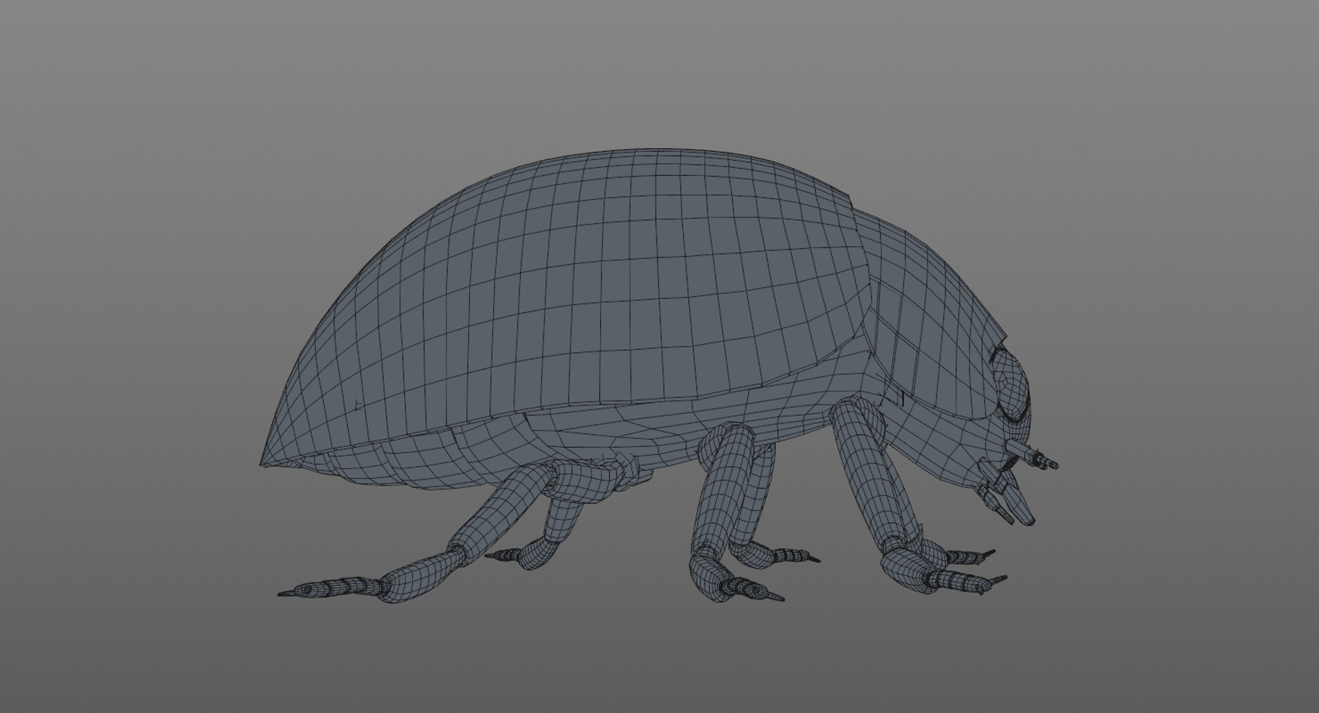realistic ladybug 3d 3ds https://p.turbosquid.com/ts-thumb/vt/Job24K/bTiXVBk8/ladybug_wire_0005/jpg/1479906039/1920x1080/fit_q87/d95566093d8be3d642f8e5ea4ba3ac3ea5b66369/ladybug_wire_0005.jpg
