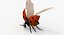 Realistic Ladybug
