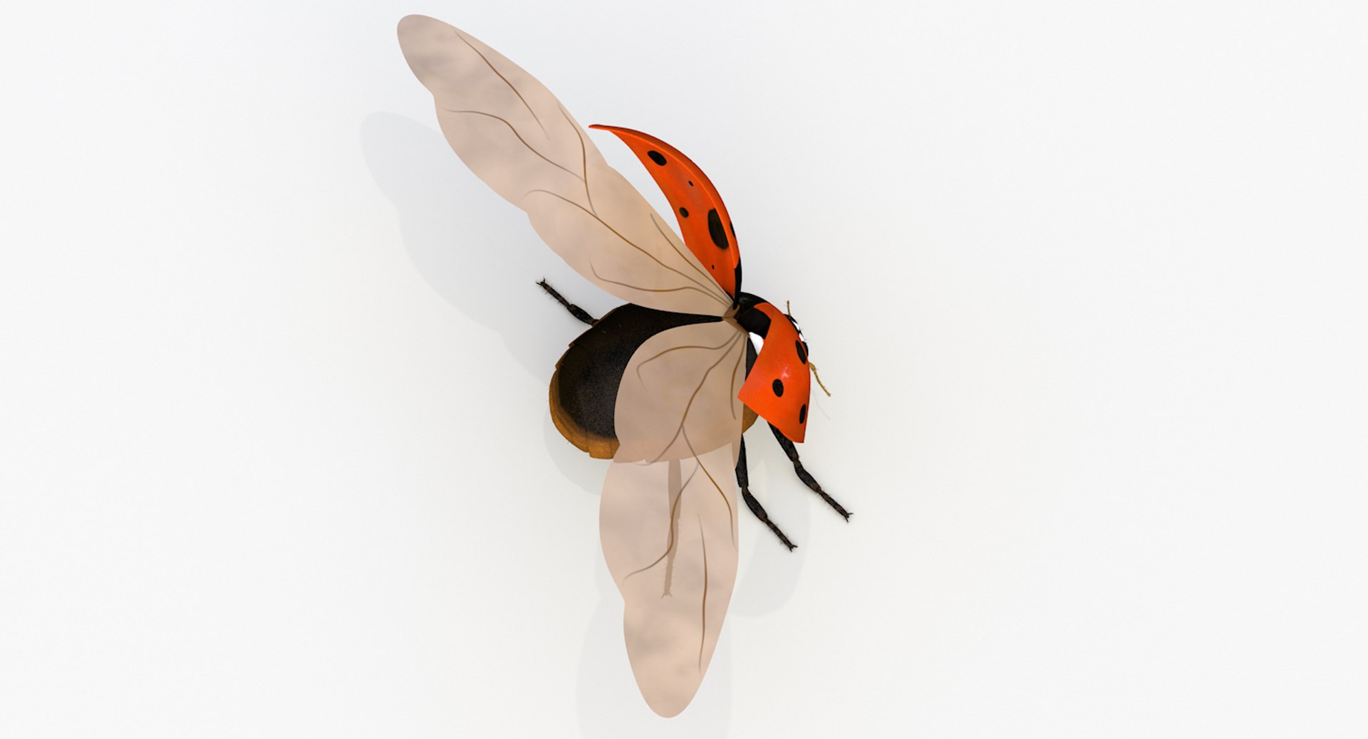 realistic ladybug 3d 3ds https://p.turbosquid.com/ts-thumb/vt/Job24K/hLNNhx5B/ladybug_wings_0007/png/1479906038/1920x1080/fit_q87/b4bb38f4f69a7f4e674af1555bdf3a47a2717f97/ladybug_wings_0007.jpg