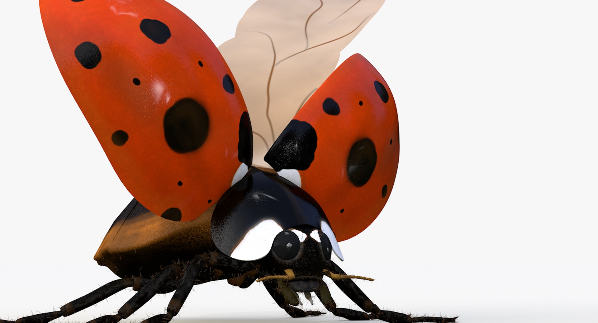 realistic ladybug 3d 3ds https://p.turbosquid.com/ts-thumb/vt/Job24K/rBWoZZwM/ladybug_wings_0003/png/1479906038/1920x1080/fit_q87/eae4cccb4085bad1254f7c8131150e0d6b506f63/ladybug_wings_0003.jpg