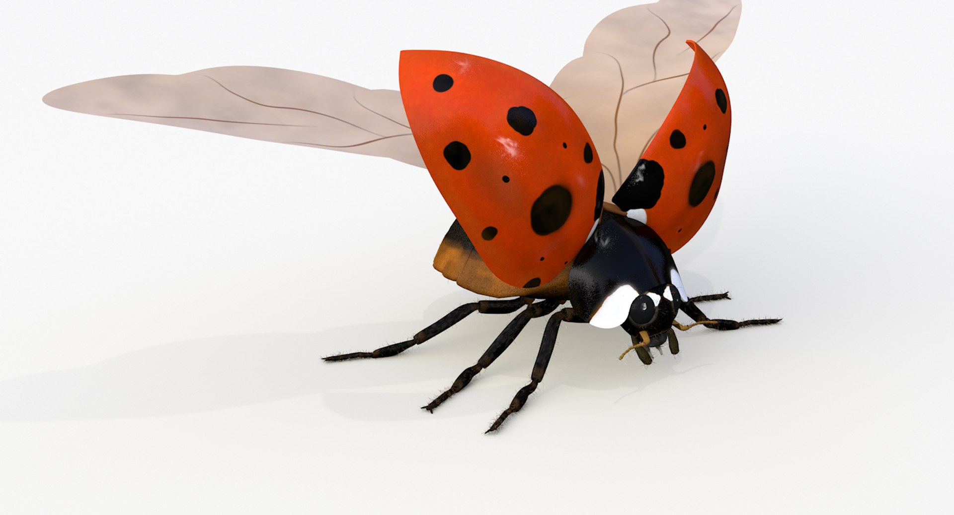 realistic ladybug 3d 3ds https://p.turbosquid.com/ts-thumb/vt/Job24K/yZOWphZY/ladybug_wings_0000/png/1479906038/1920x1080/fit_q87/09c902505fa40cb01629232c07c2708e2a76ab4c/ladybug_wings_0000.jpg