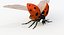 Realistic Ladybug