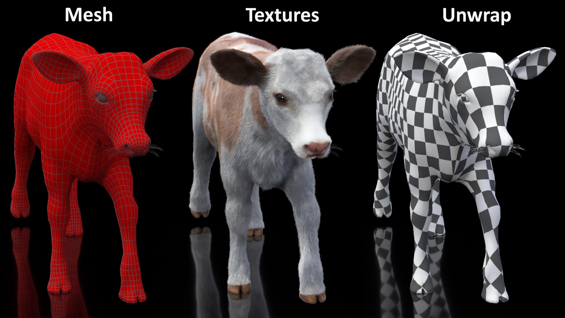 3D Cow Calf In Walking Pose Fur - TurboSquid 2258176