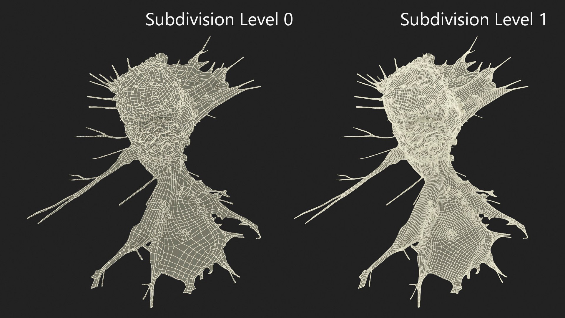 3D Cancer Cell With Lymphocyte Model - TurboSquid 2220710