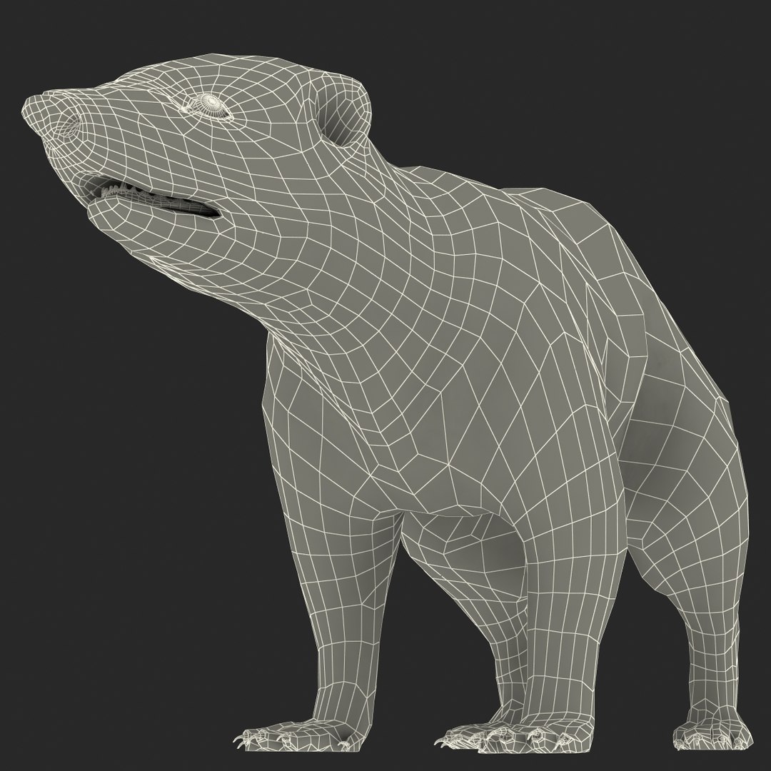 3d skunk fur https://p.turbosquid.com/ts-thumb/vu/27aIJU/6YSNVGrY/skunkfur_177/jpg/1398807980/1920x1080/fit_q87/1e7e95449dc42ab79a8117e64c745cbe64d09957/skunkfur_177.jpg