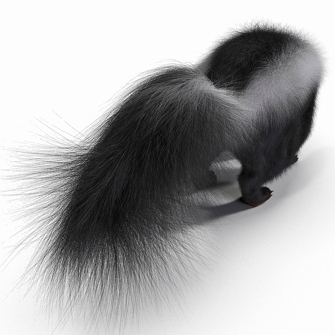 3d skunk fur https://p.turbosquid.com/ts-thumb/vu/27aIJU/BK3GDk1I/skunkfur_21/jpg/1398807423/1920x1080/fit_q87/fe9af5c80407ce765000914124c6d346efc50b58/skunkfur_21.jpg