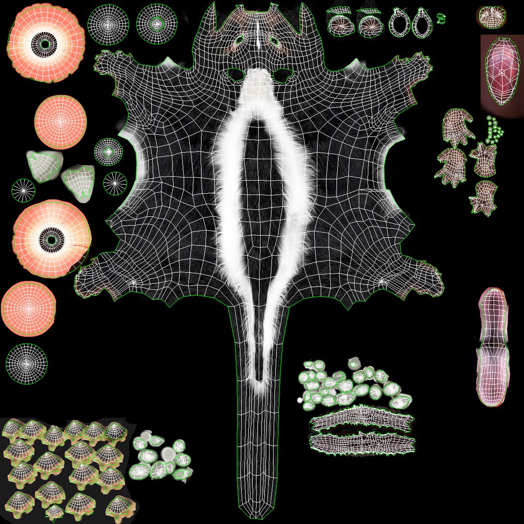 3d skunk fur https://p.turbosquid.com/ts-thumb/vu/27aIJU/F6x4092b/skunkfur_7/jpg/1398807370/1920x1080/fit_q87/8889ea44e5dcd9b6790f4c13705ff603146e2a9a/skunkfur_7.jpg