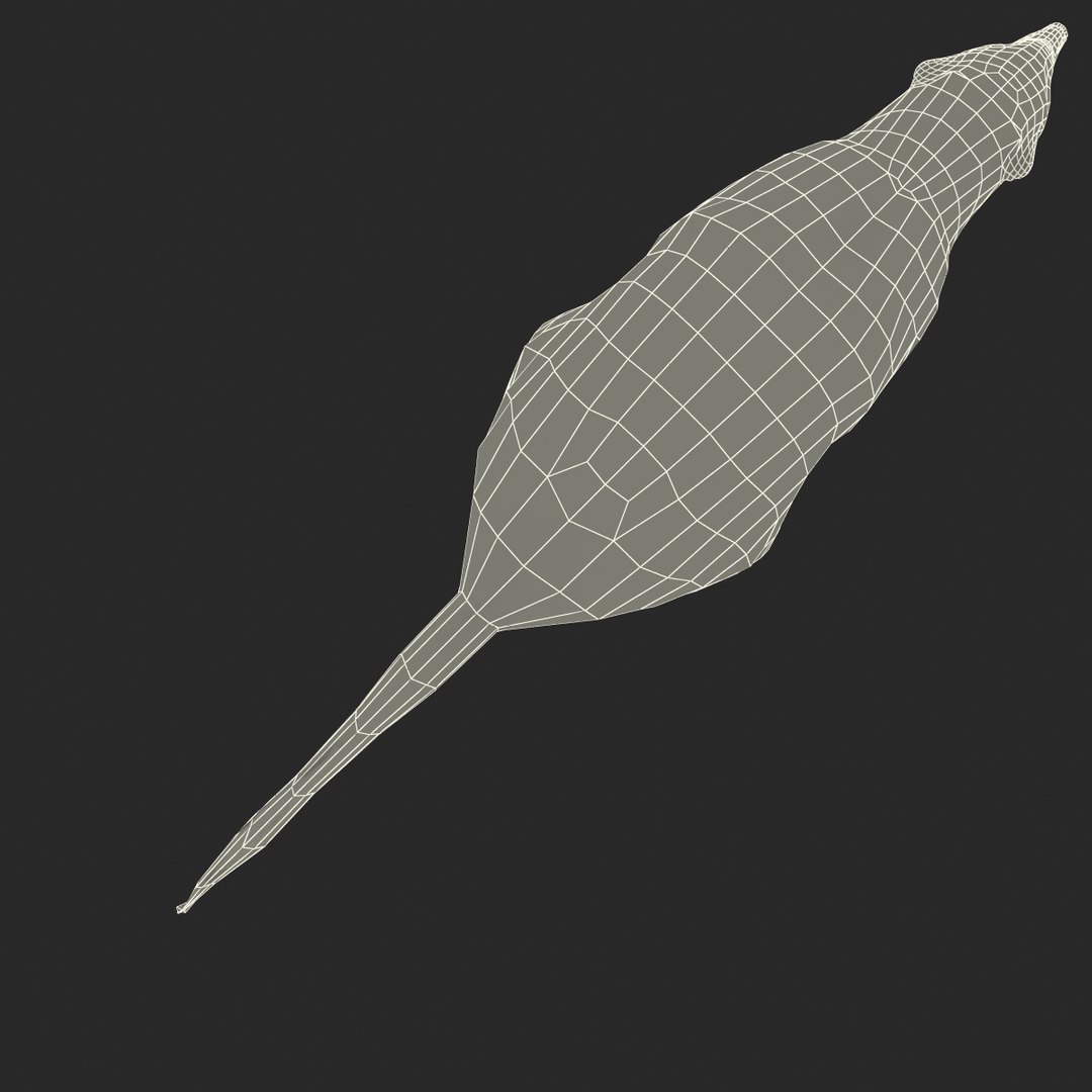 3d skunk fur https://p.turbosquid.com/ts-thumb/vu/27aIJU/IIu2mFX4/skunkfur_172/jpg/1398807963/1920x1080/fit_q87/712f2bff6fff1d8b10174205f0dab0b189e06bdf/skunkfur_172.jpg