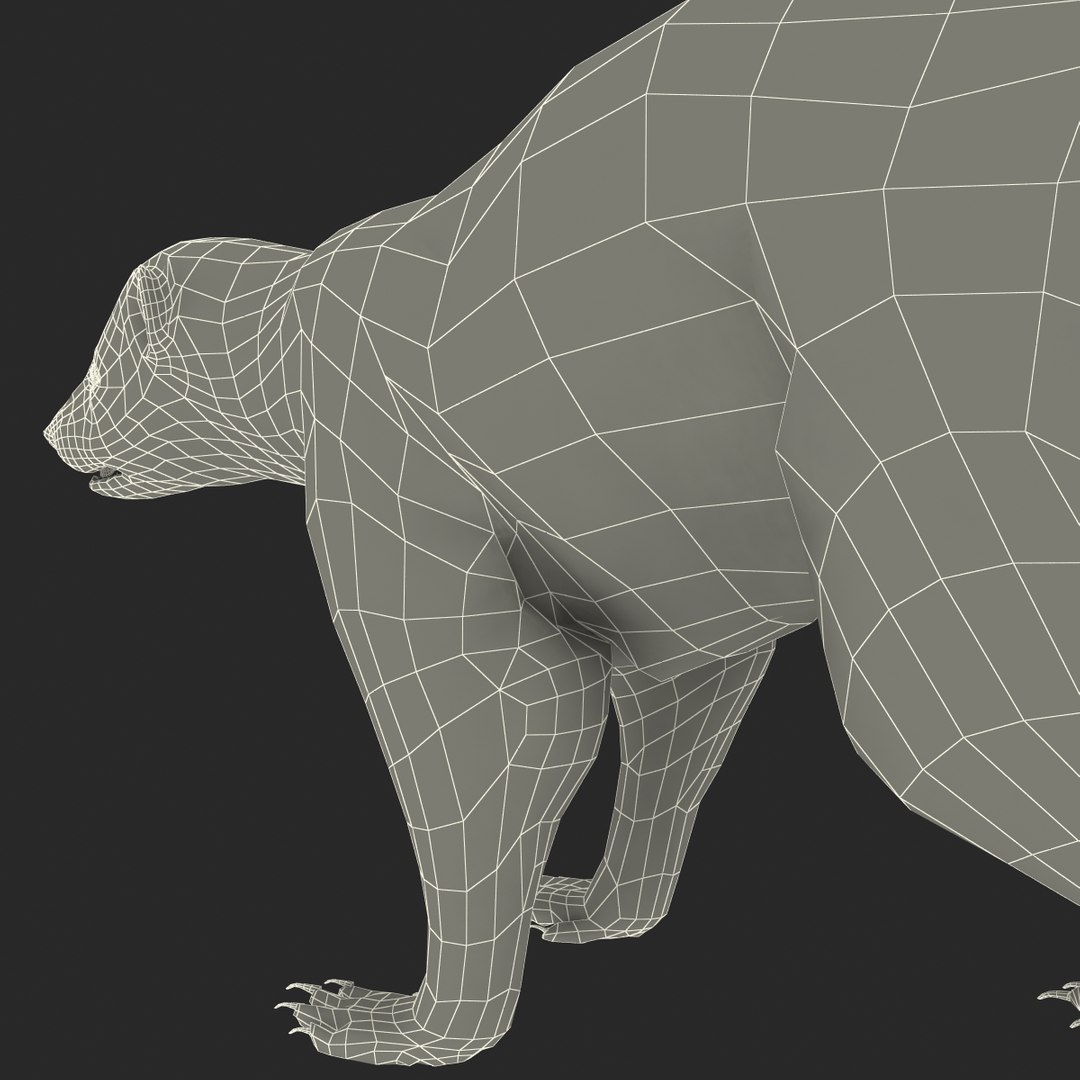 3d skunk fur https://p.turbosquid.com/ts-thumb/vu/27aIJU/JJKpUTkl/skunkfur_182/jpg/1398807996/1920x1080/fit_q87/05739697ea3d124fbdd514f29336b4ecd06a9b77/skunkfur_182.jpg