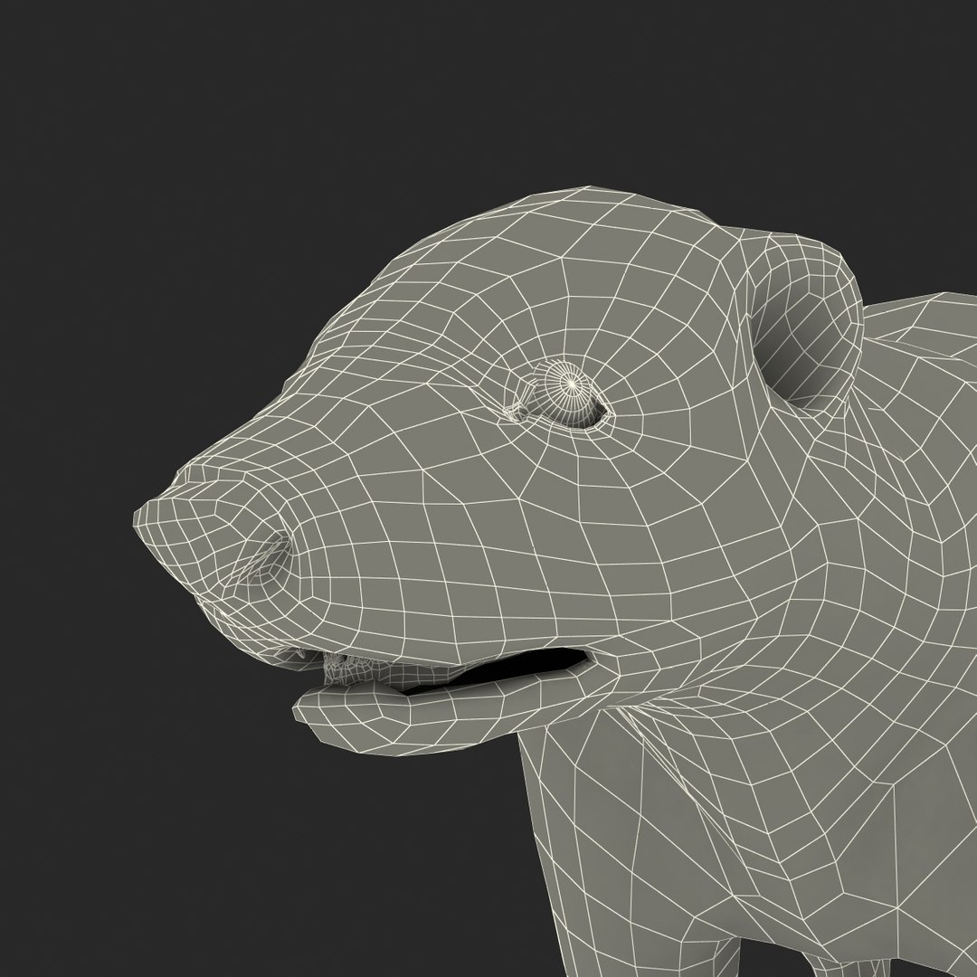 3d skunk fur https://p.turbosquid.com/ts-thumb/vu/27aIJU/Ll38dgwB/skunkfur_178/jpg/1398807984/1920x1080/fit_q87/292bcf083d603f8ed6b3b4fec23d0207441b59b4/skunkfur_178.jpg