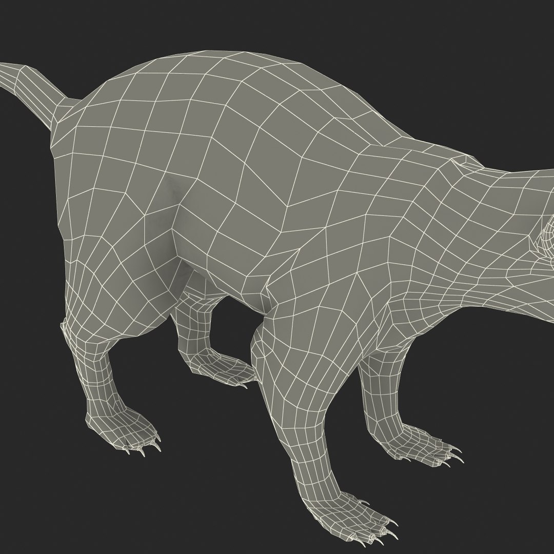 3d skunk fur https://p.turbosquid.com/ts-thumb/vu/27aIJU/QpdSYpUK/skunkfur_181/jpg/1398807994/1920x1080/fit_q87/103c997baad555f7e6717d1ee8d0b571632f75d6/skunkfur_181.jpg