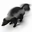 Skunk Fur