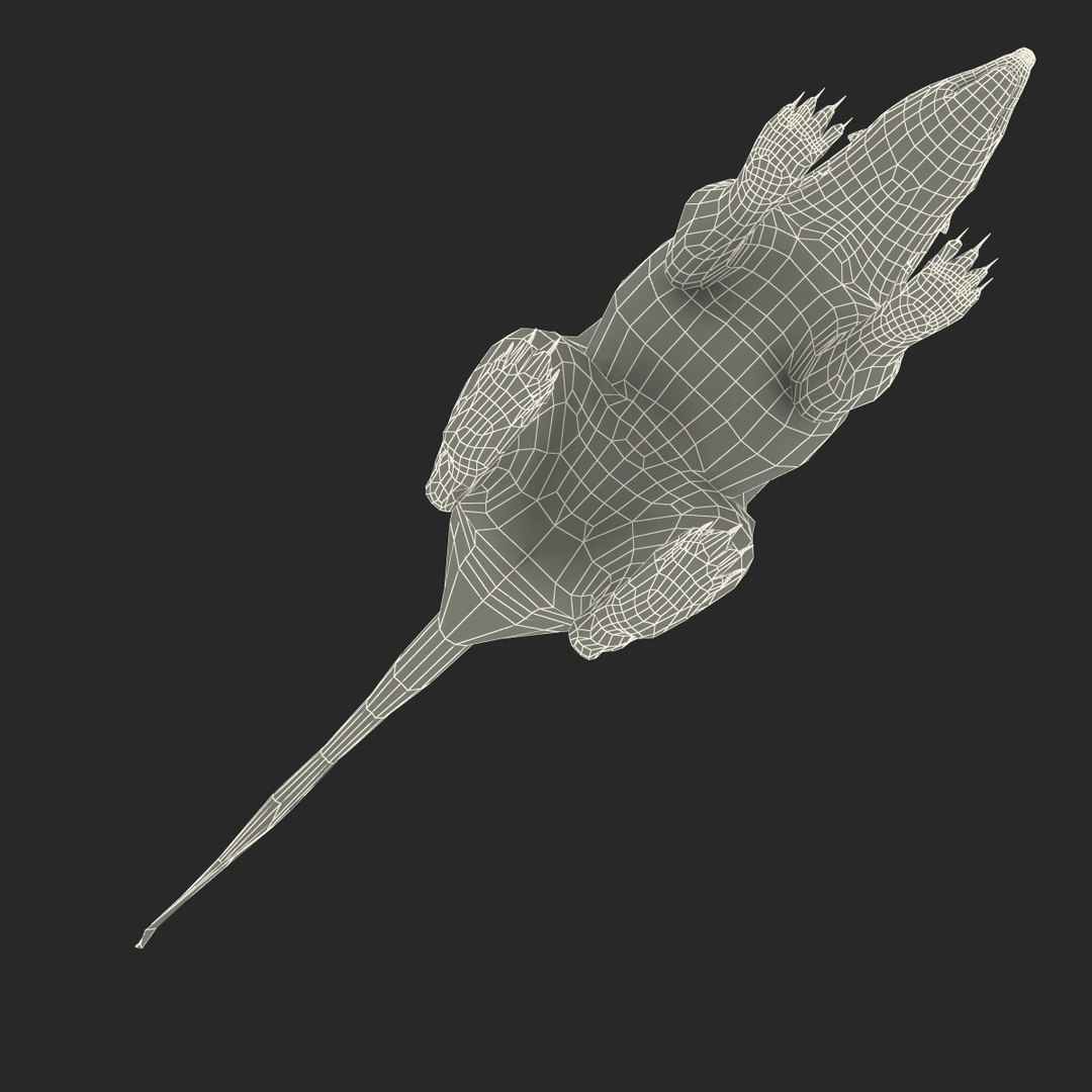 3d skunk fur https://p.turbosquid.com/ts-thumb/vu/27aIJU/alpgs7TZ/skunkfur_173/jpg/1398807963/1920x1080/fit_q87/09a6f932129f9e26b9ac6ca3a784351808e749d3/skunkfur_173.jpg