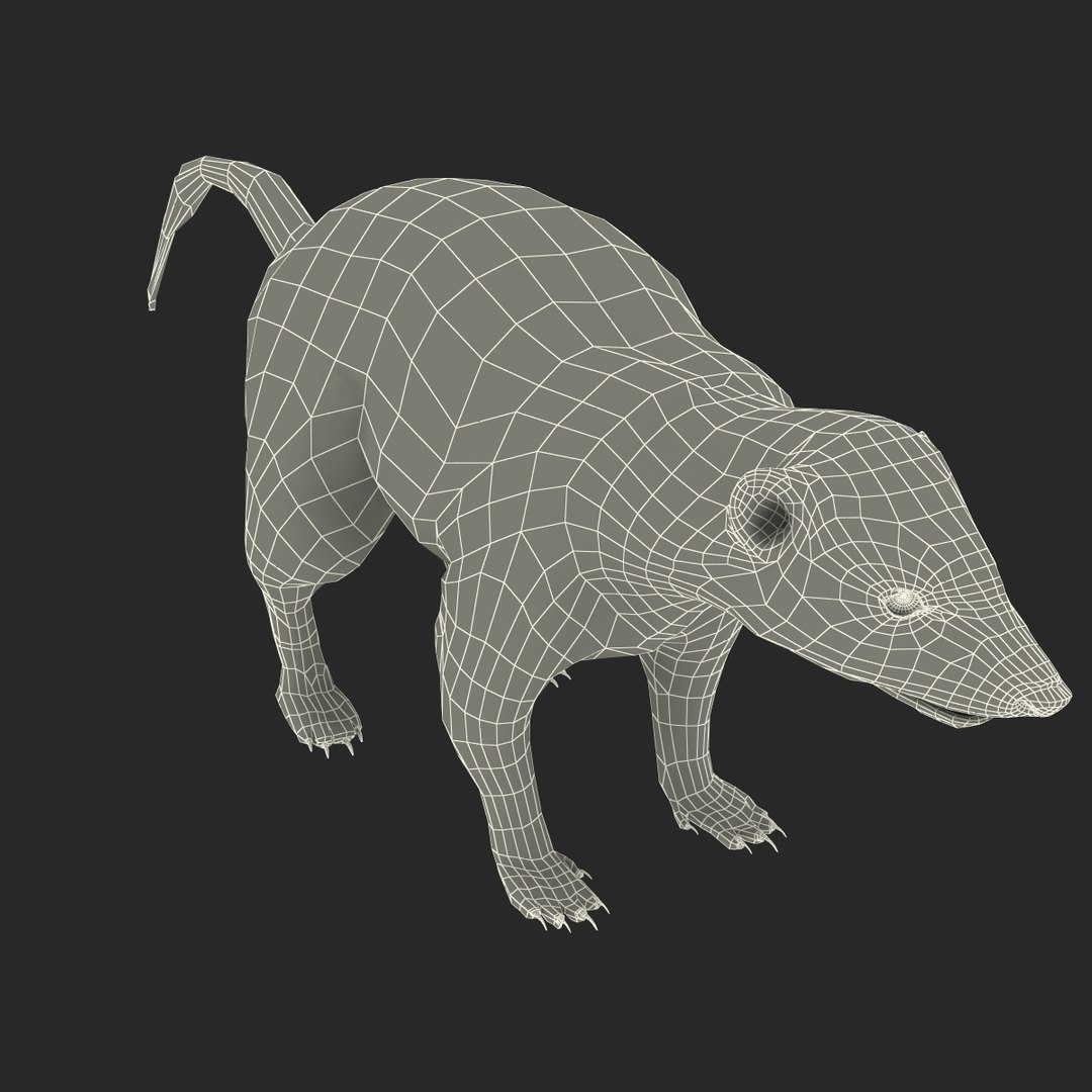 3d skunk fur https://p.turbosquid.com/ts-thumb/vu/27aIJU/bB52rUXr/skunkfur_176/jpg/1398807975/1920x1080/fit_q87/f9bbfd276ce216254c525f93f35d85698769a13c/skunkfur_176.jpg