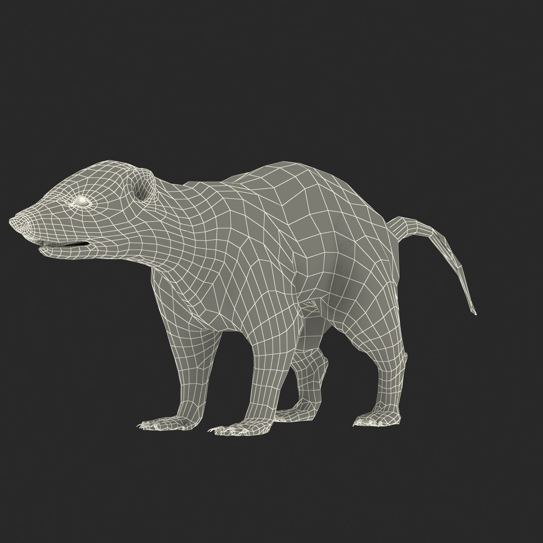 3d skunk fur https://p.turbosquid.com/ts-thumb/vu/27aIJU/bzVGa4Ji/skunkfur_175/jpg/1398807971/1920x1080/fit_q87/0486e7c92b704a7438dbec6e9a3b46e3edc09e9e/skunkfur_175.jpg