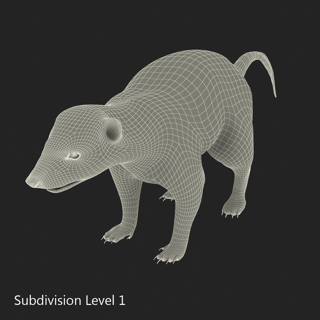 3d skunk fur https://p.turbosquid.com/ts-thumb/vu/27aIJU/cD1jH3Od/skunkfur_10/jpg/1398807382/1920x1080/fit_q87/4d1c787643e85bd6c83532f183f2aa5e5ba8a253/skunkfur_10.jpg