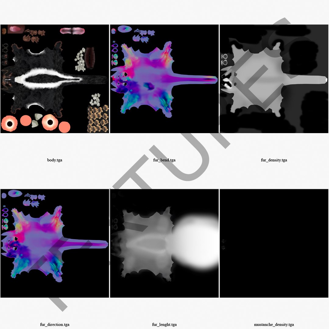 3d skunk fur https://p.turbosquid.com/ts-thumb/vu/27aIJU/dm382YFV/skunkfur_8/jpg/1398807371/1920x1080/fit_q87/0465a699405a2e1a3a4729a995f846e5705d62d3/skunkfur_8.jpg