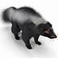 Skunk Fur
