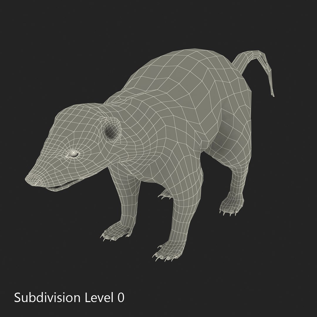 3d skunk fur https://p.turbosquid.com/ts-thumb/vu/27aIJU/iMq3cjyG/skunkfur_9/jpg/1398807378/1920x1080/fit_q87/c8efa439c2b5cd91febfbd46b52d902afac836f8/skunkfur_9.jpg