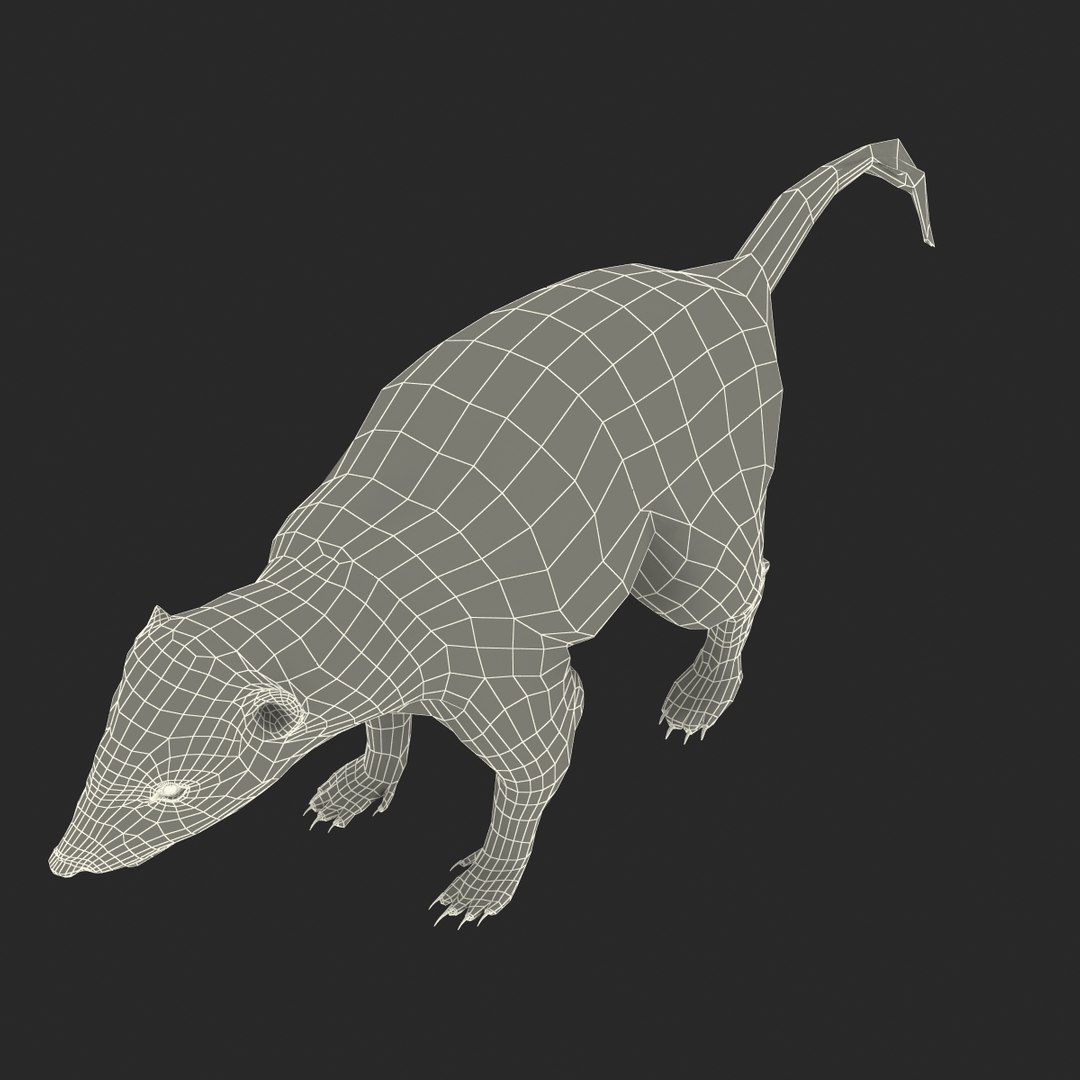 3d skunk fur https://p.turbosquid.com/ts-thumb/vu/27aIJU/ieX6lFrp/skunkfur_174/jpg/1398807967/1920x1080/fit_q87/32594b79a5d38b77c9532aa124aded06155ad0c4/skunkfur_174.jpg