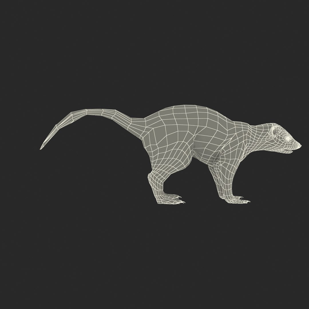 3d skunk fur https://p.turbosquid.com/ts-thumb/vu/27aIJU/mxjlroan/skunkfur_171/jpg/1398807959/1920x1080/fit_q87/9029cfdd03c856b56e340397168ff11092f7fea9/skunkfur_171.jpg