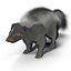 Skunk Fur
