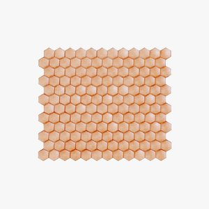 3D Human Skin Anatomy