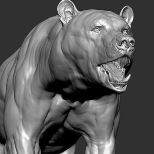3D bear zbrush model