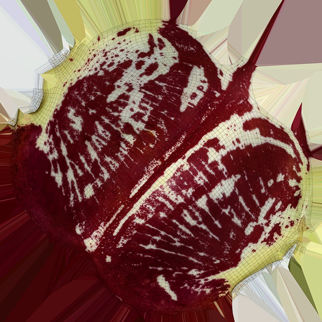 3D Christmas Pole Lima Bean https://p.turbosquid.com/ts-thumb/vu/gRTJBG/3r/christmaspolelima_c0004/png/1766514317/1920x1080/fit_q87/c7bbf8f71b31331aefcfcd129d3f42f0fe780ae6/christmaspolelima_c0004.jpg