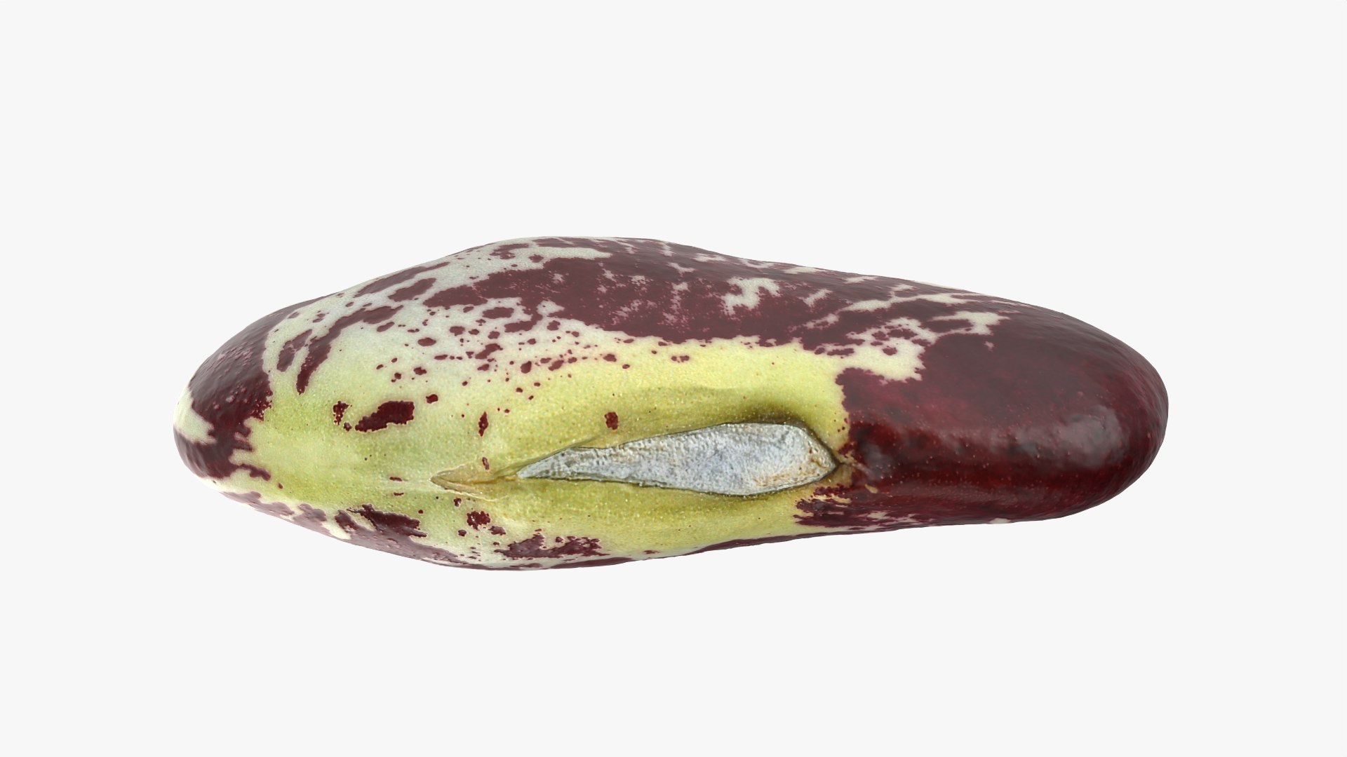 3D Christmas Pole Lima Bean https://p.turbosquid.com/ts-thumb/vu/gRTJBG/7k/christmaspolelima_0005/png/1766514295/1920x1080/fit_q87/a749596227c9aa69fc74c09ecb05e49fcdf32175/christmaspolelima_0005.jpg