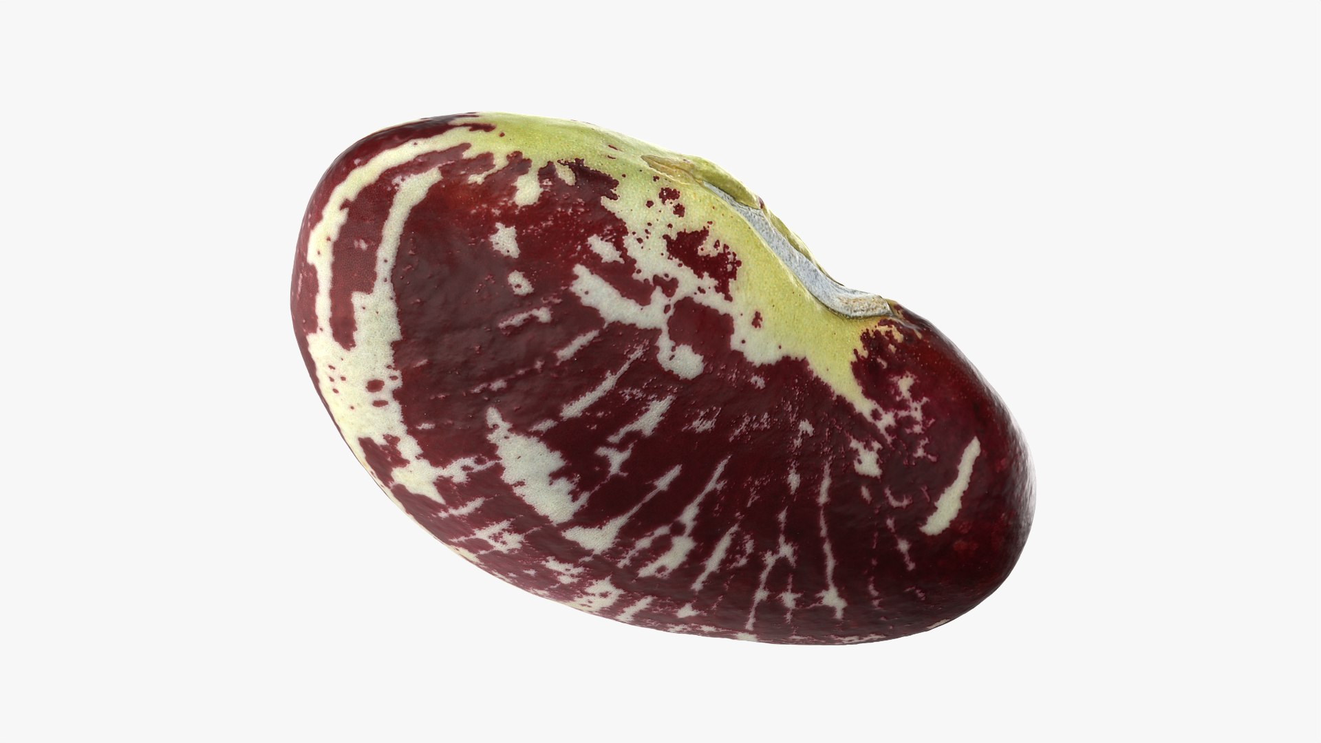 3D Christmas Pole Lima Bean https://p.turbosquid.com/ts-thumb/vu/gRTJBG/E6/christmaspolelima_0012/png/1766514321/1920x1080/fit_q87/dd402c17dabb5b9f40c49e36af570f92bf40aaf5/christmaspolelima_0012.jpg