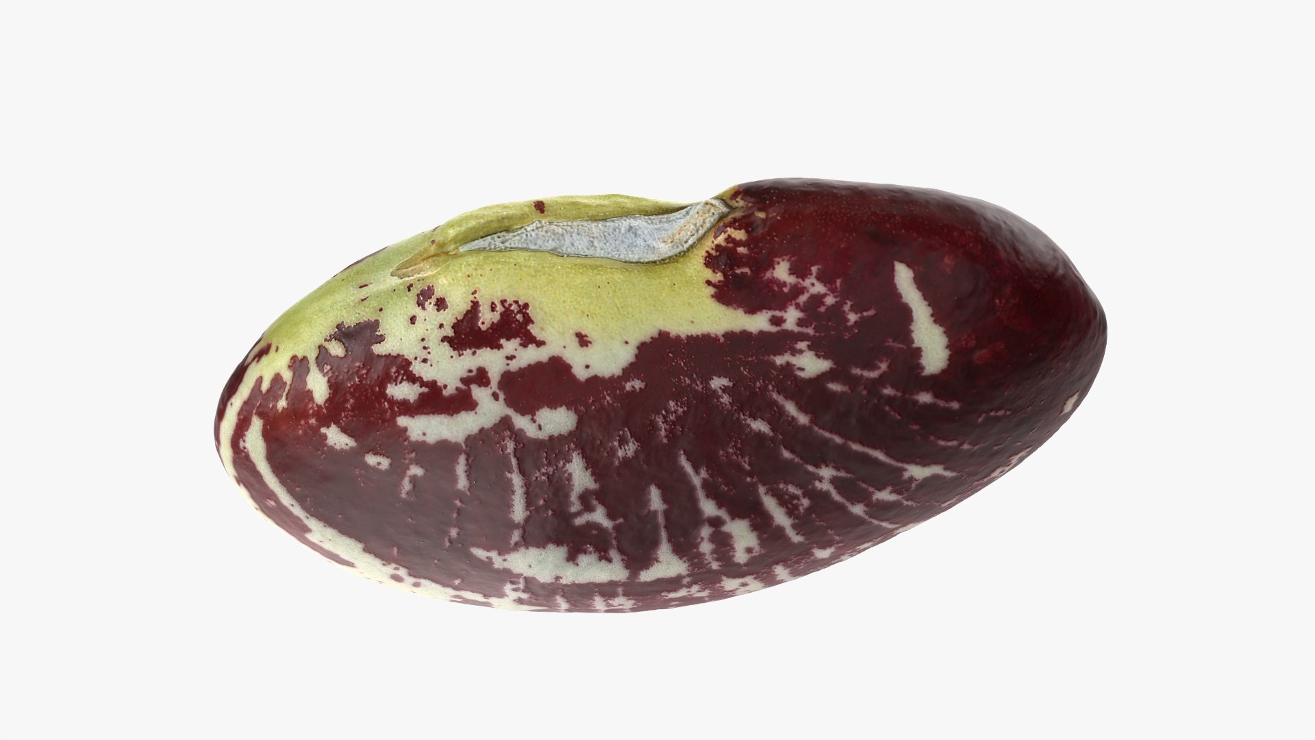 3D Christmas Pole Lima Bean https://p.turbosquid.com/ts-thumb/vu/gRTJBG/Gw/christmaspolelima_0010/png/1766514315/1920x1080/fit_q87/840669cc6240df8654af4e68169ed733e8973641/christmaspolelima_0010.jpg