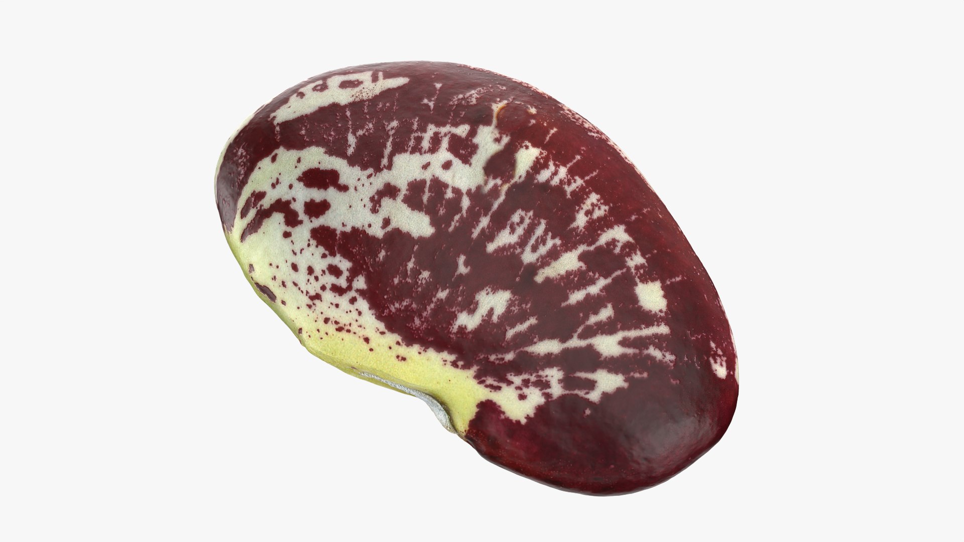 3D Christmas Pole Lima Bean https://p.turbosquid.com/ts-thumb/vu/gRTJBG/Tb/christmaspolelima_0011/png/1766514318/1920x1080/fit_q87/6a7c4e2f9063373a8d06fe8b7f8ed3deb8ea626c/christmaspolelima_0011.jpg