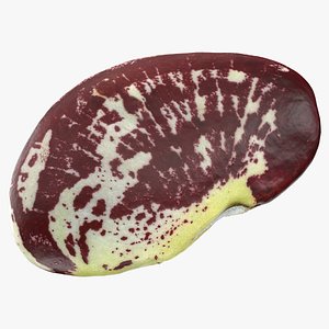 3D Christmas Pole Lima Bean