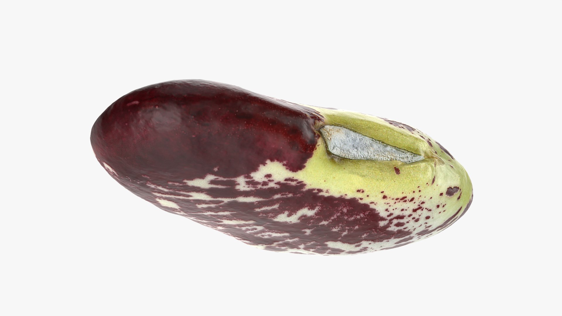 3D Christmas Pole Lima Bean https://p.turbosquid.com/ts-thumb/vu/gRTJBG/kR/christmaspolelima_0009/png/1766514313/1920x1080/fit_q87/5b15084715a4a79d1683b3c22d048aa29cb4211e/christmaspolelima_0009.jpg