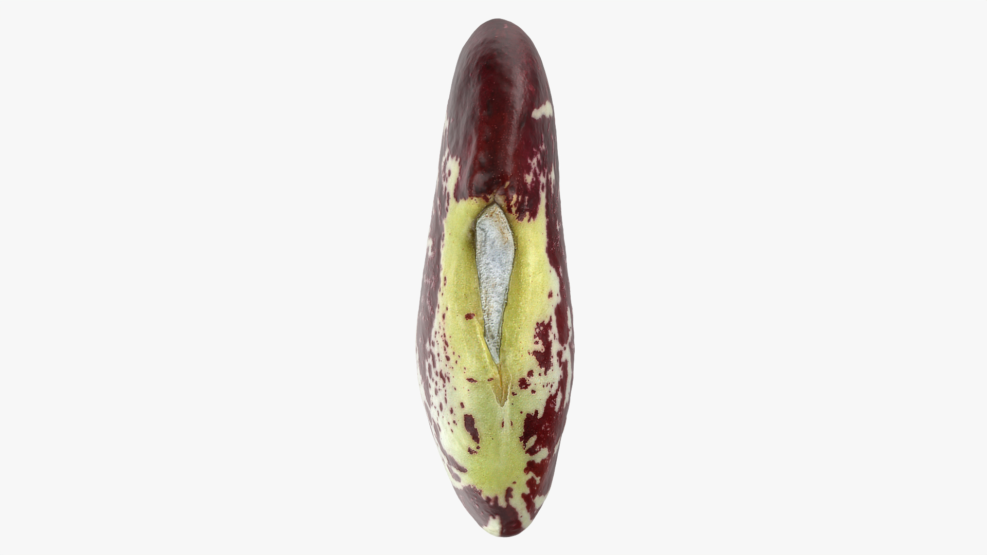 3D Christmas Pole Lima Bean https://p.turbosquid.com/ts-thumb/vu/gRTJBG/mh/christmaspolelima/png/1767181860/1920x1080/turn_fit_q99/98fbd5ded16724274028755638028bc00675aeb0/christmaspolelima-1.jpg