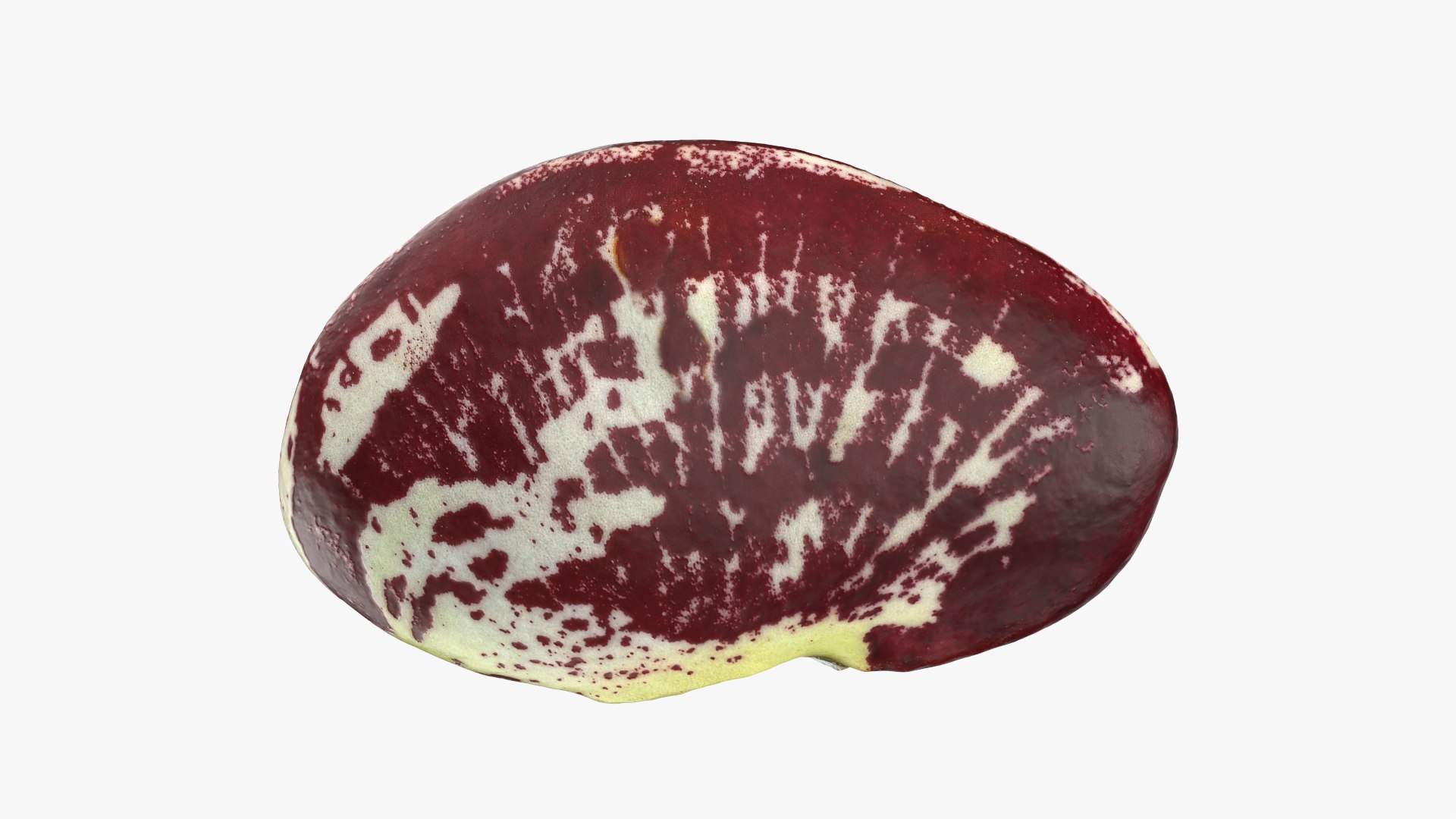 3D Christmas Pole Lima Bean https://p.turbosquid.com/ts-thumb/vu/gRTJBG/oC/christmaspolelima_0006/png/1766514298/1920x1080/fit_q87/53944bfb046f5a8729171eefa16cd4a335d0060a/christmaspolelima_0006.jpg
