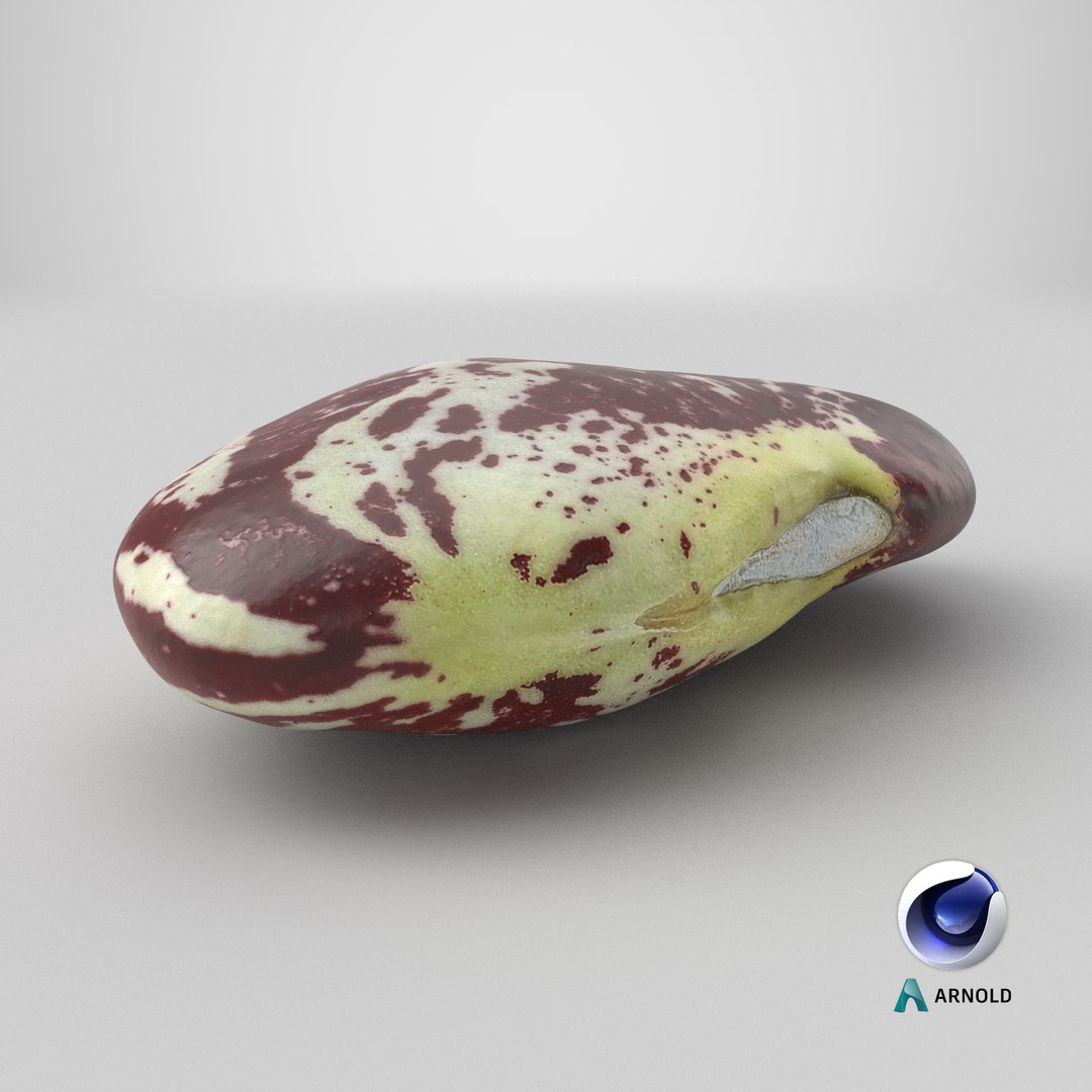 3D Christmas Pole Lima Bean https://p.turbosquid.com/ts-thumb/vu/gRTJBG/pC/stemcell_cinema_4d_arnold_render/png/1767647549/1920x1080/fit_q87/3c27249d28faa096b894f3783698c88c738893e4/stemcell_cinema_4d_arnold_render.jpg