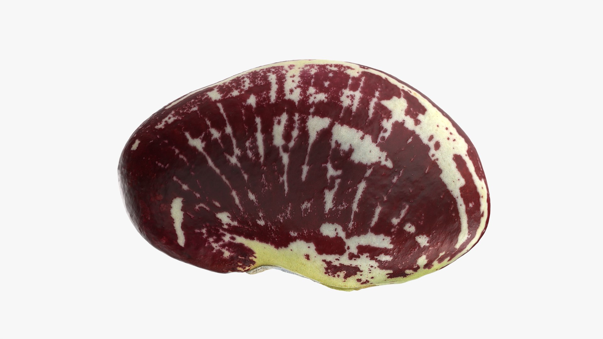 3D Christmas Pole Lima Bean https://p.turbosquid.com/ts-thumb/vu/gRTJBG/qN/christmaspolelima_0008/png/1766514309/1920x1080/fit_q87/6b6a24cd1bdfec743196eff8d6532eab07151d6f/christmaspolelima_0008.jpg