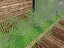 Vertical Garden