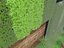 Vertical Garden
