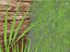Vertical Garden