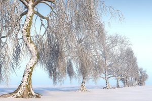 winter trees hd pack 3D model