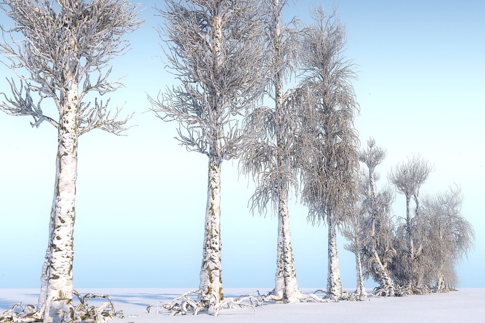 Winter Trees Hd Pack 3D Model - TurboSquid 1351517